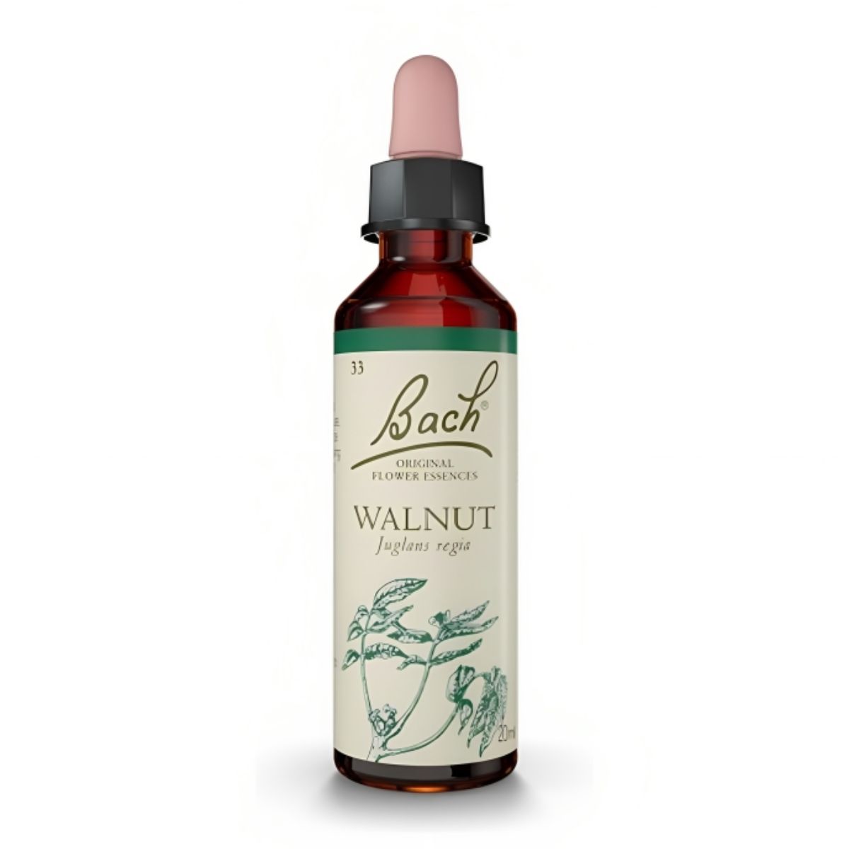 Flores de Bach Walnut – Nogal 20 mL