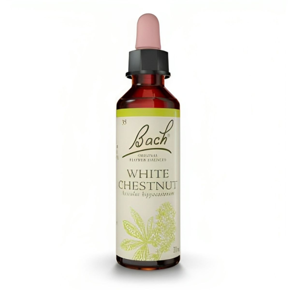 Flores de Bach White Chestnut – Castaño de Indias 20 mL