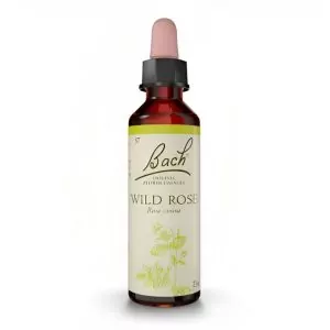 Flores de Bach Wild Rose – Rosa Silvestre 20 mL