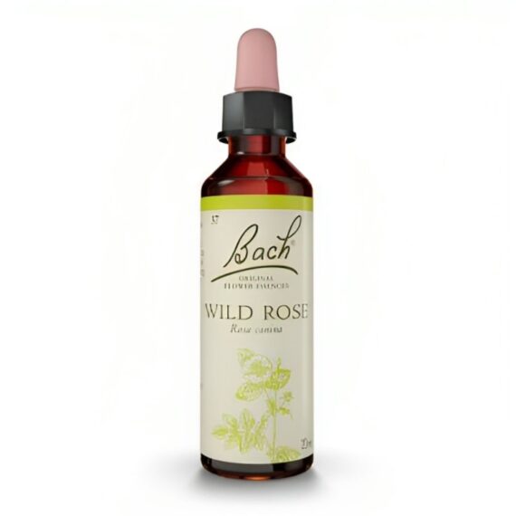 Flores de Bach Wild Rose - Rosa Silvestre 20 mL