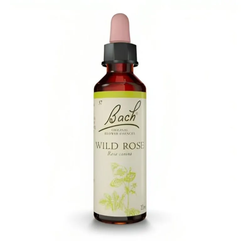 Flores de Bach Wild Rose – Rosa Silvestre 20 mL
