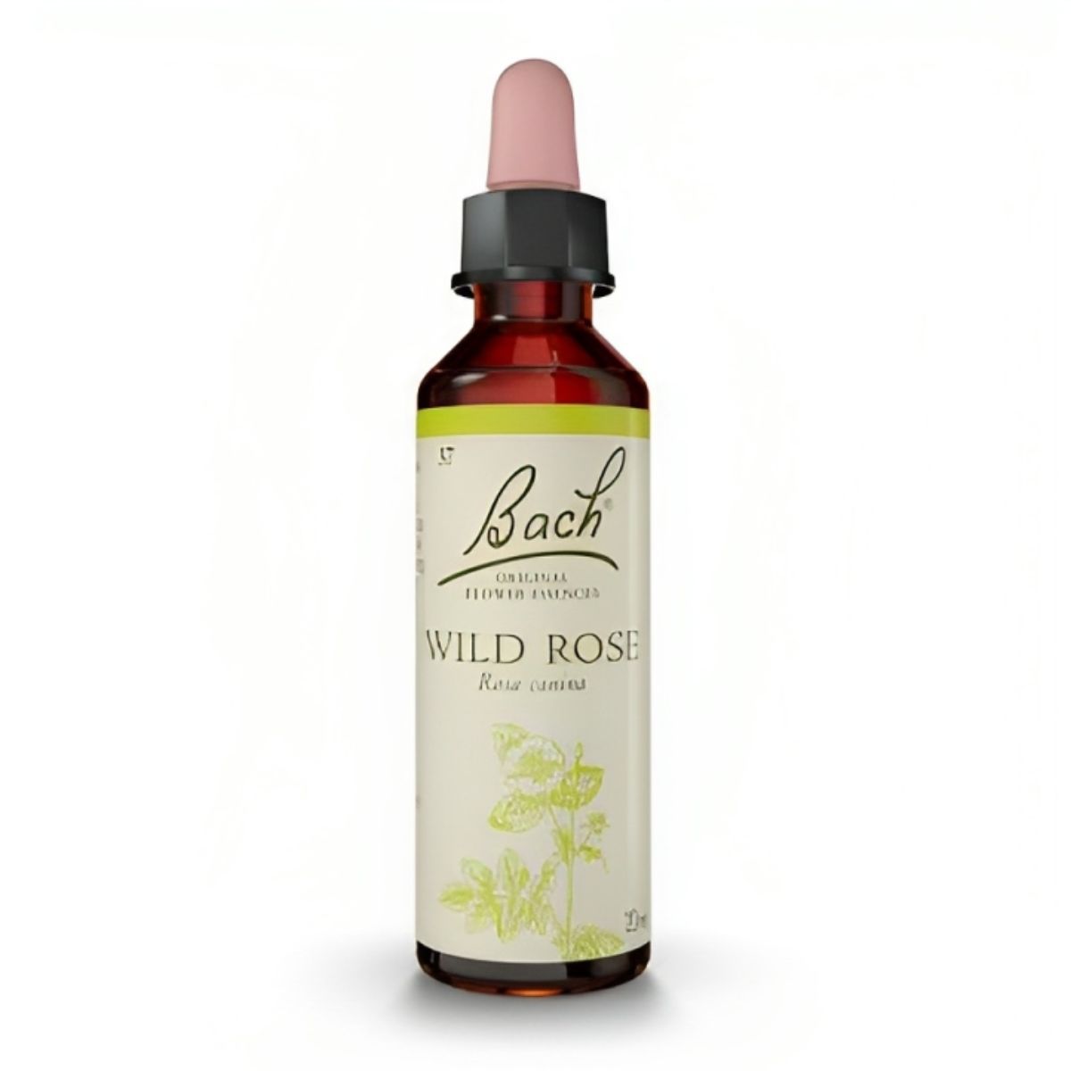 Flores de Bach Wild Rose – Rosa Silvestre 20 mL