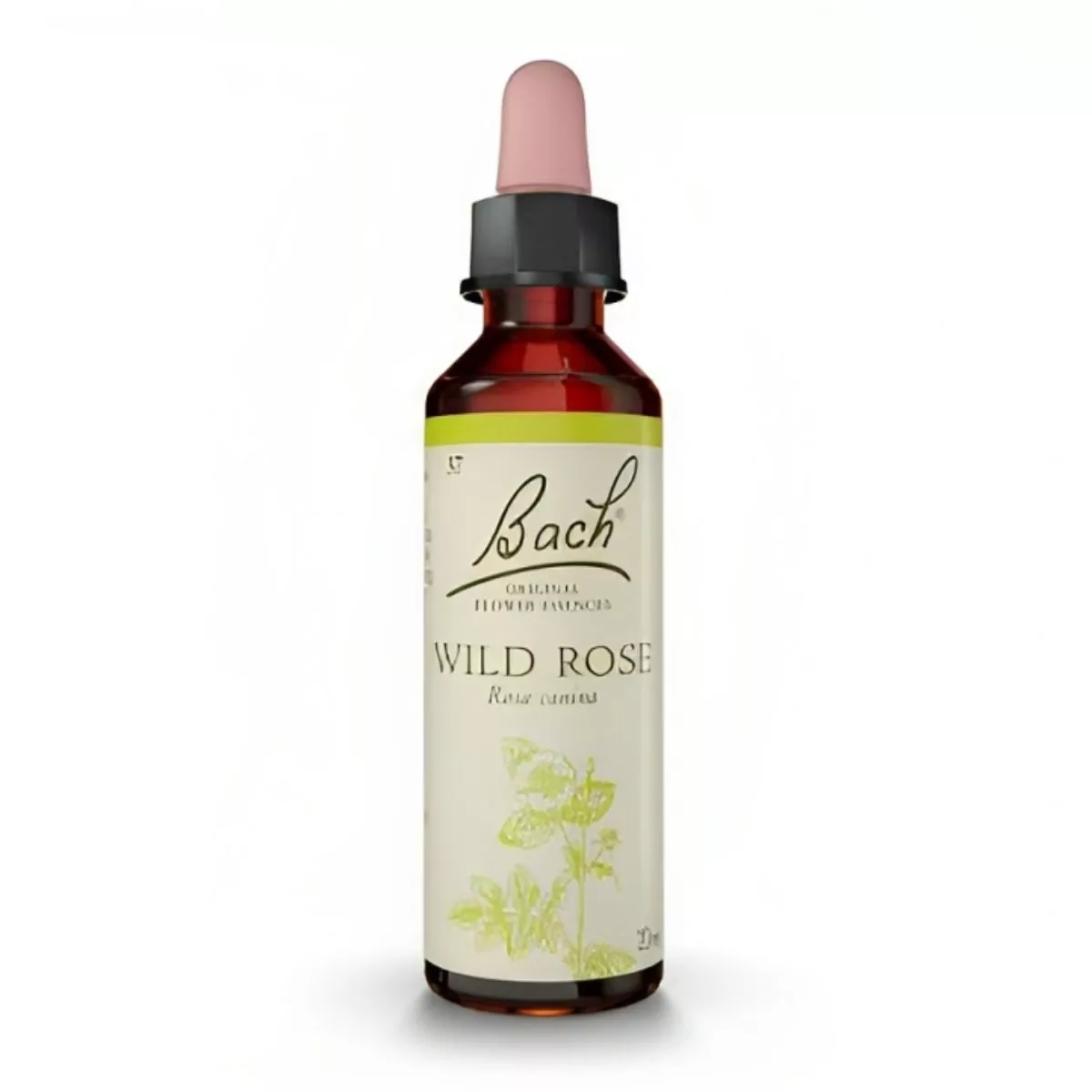 Flores de Bach Wild Rose – Rosa Silvestre 20 mL