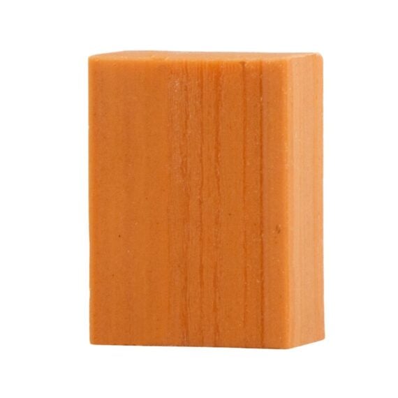 Champú Sólido Uso Frecuente 100g