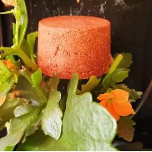 Champú Sólido Cabellos Rojizos 85 g