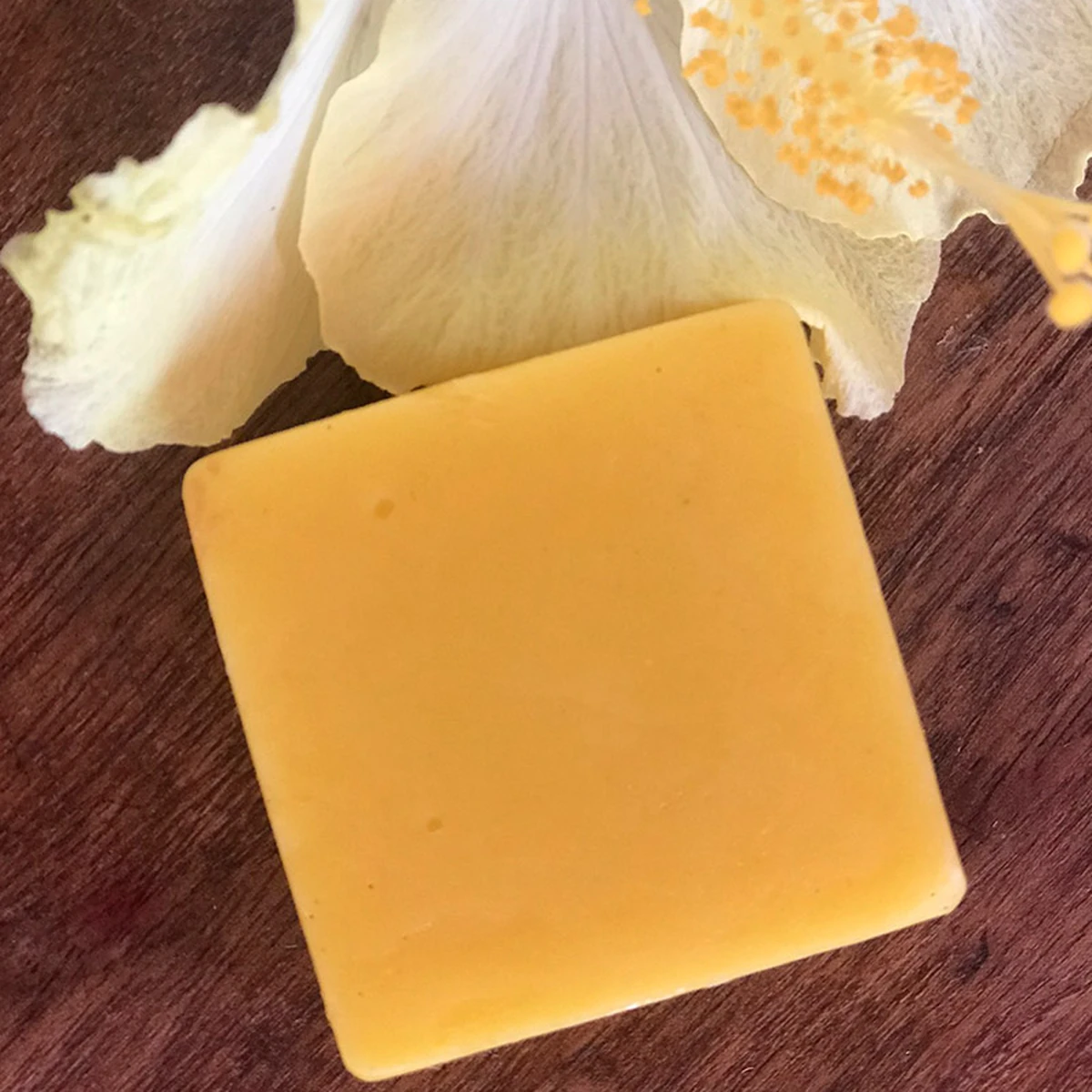 acondicionador solido para pelo rizado nitx pastilla con flor
