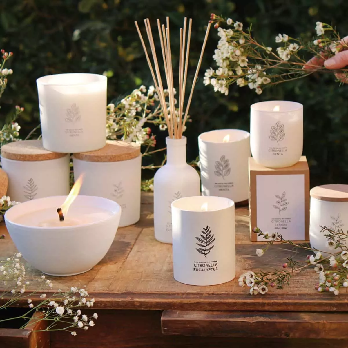 Vela Vaso Blanco Citronela – Eucalipto