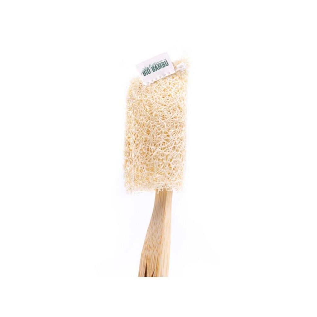 Funda Protectora para Cepillo Dental