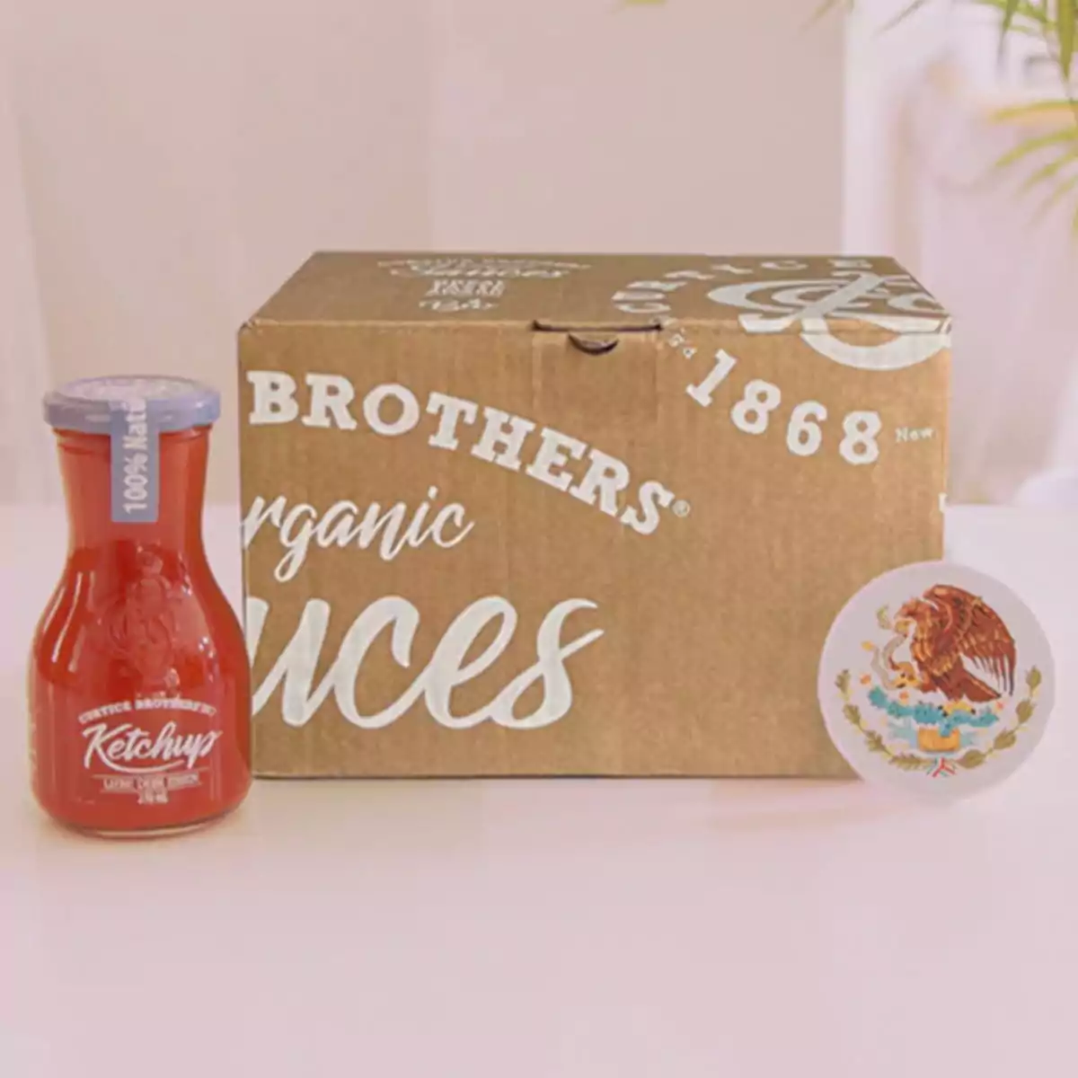 Ketchup Vegano 270 mL ECO