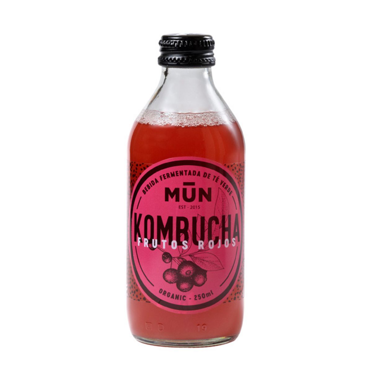 Kombucha Frutos Rojos 250 mL