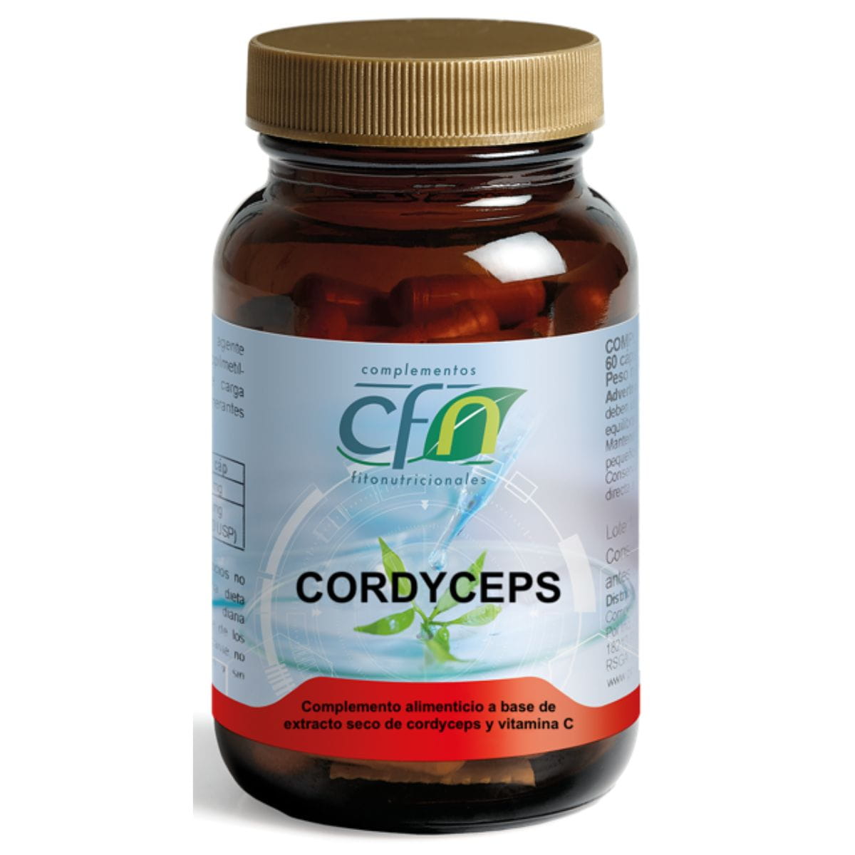 Cordyceps – 60 Cápsulas