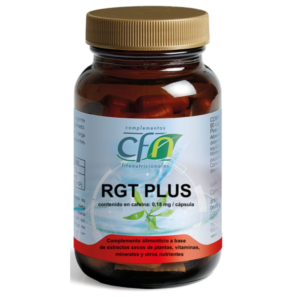 RGT Plus Regenerative – 60 Cápsulas