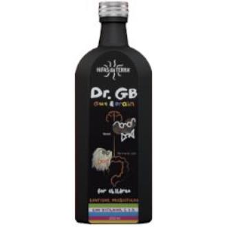 DR. GB HDT 250 ml