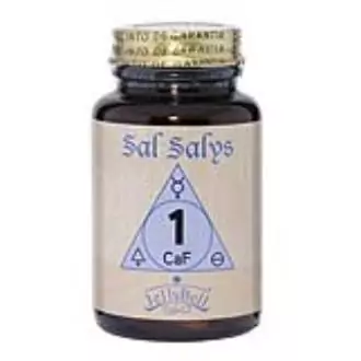 SAL SALYS-90 01 CaF – 90 Comprimidos