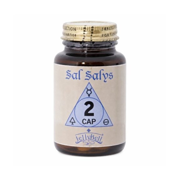 SAL SALYS-90 02 CaP - 90 Comprimidos