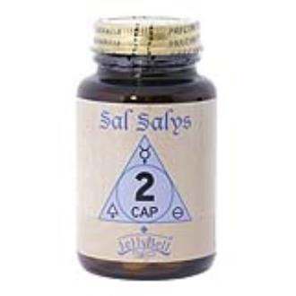 SAL SALYS-90 02 CaP - 90 Comprimidos