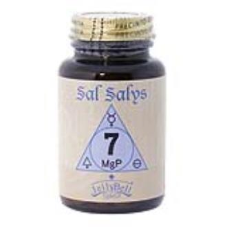 SAL SALYS-90 07 MgP – 90 Comprimidos