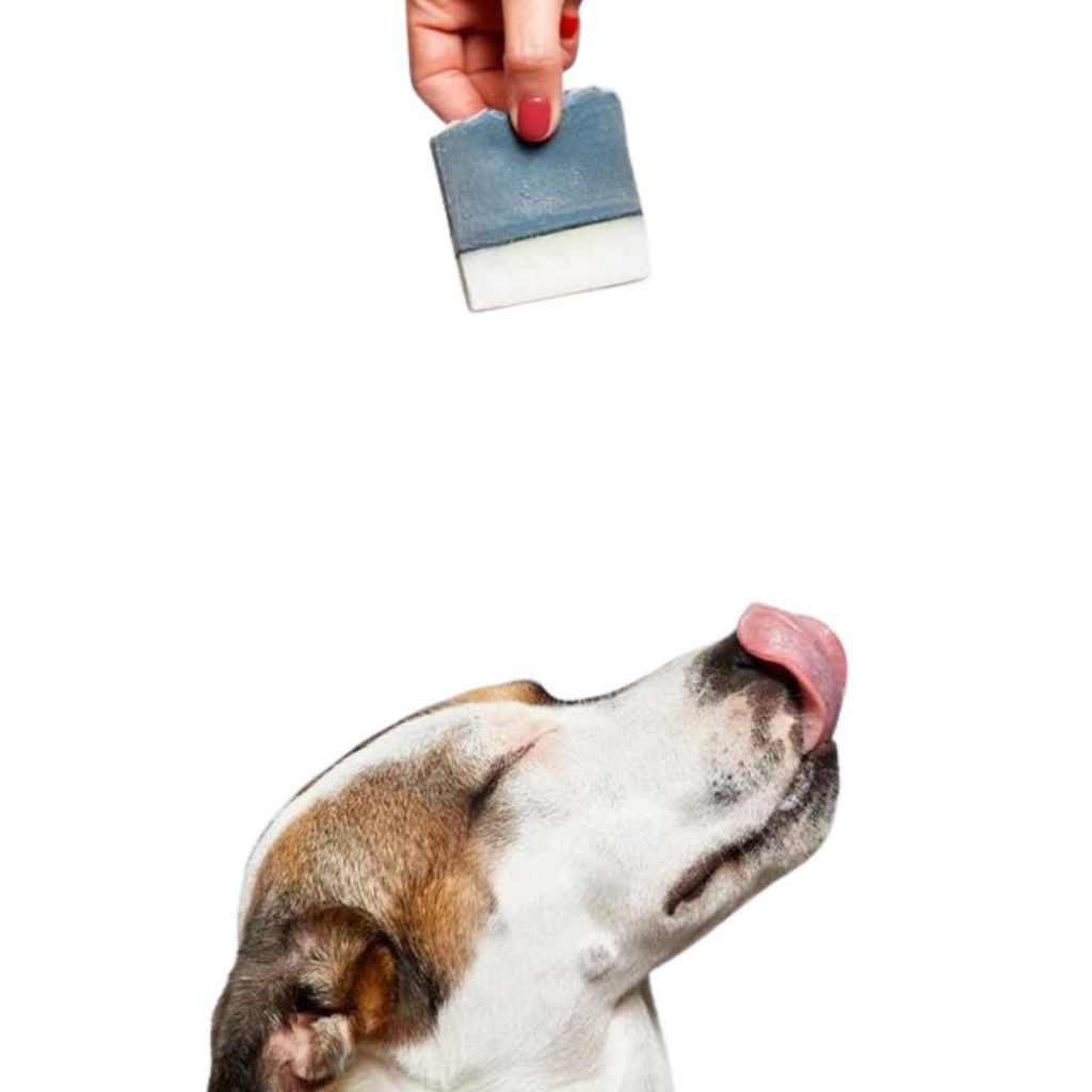 Jabón Sólido para Perros Vegano WOW 100 g ECO