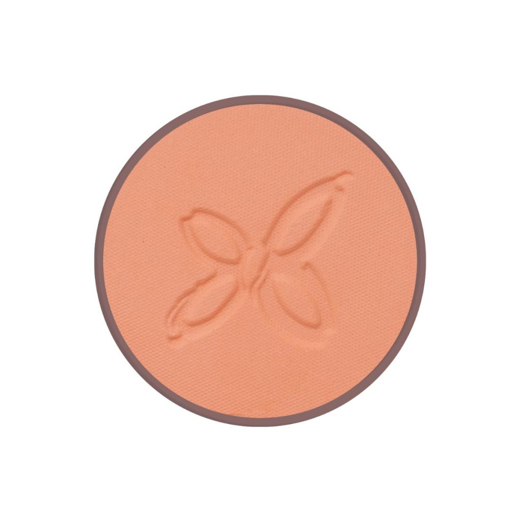 Colorete 01 Bois de Rose 4,5 g BIO VEGAN detalle 1