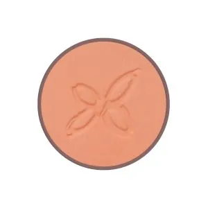 Colorete 01 Bois de Rose 4,5 g BIO VEGAN