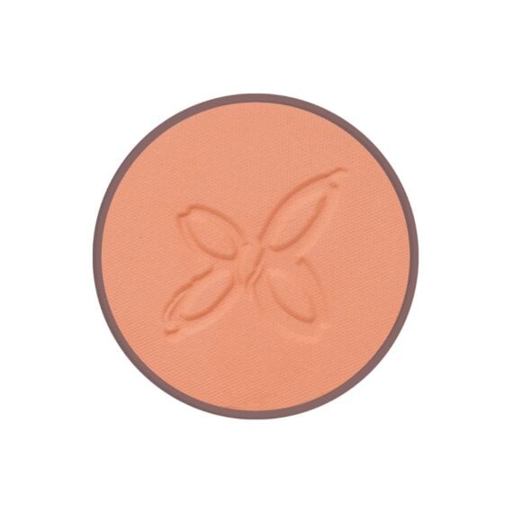 Colorete 01 Bois de Rose 4,5 g BIO VEGAN