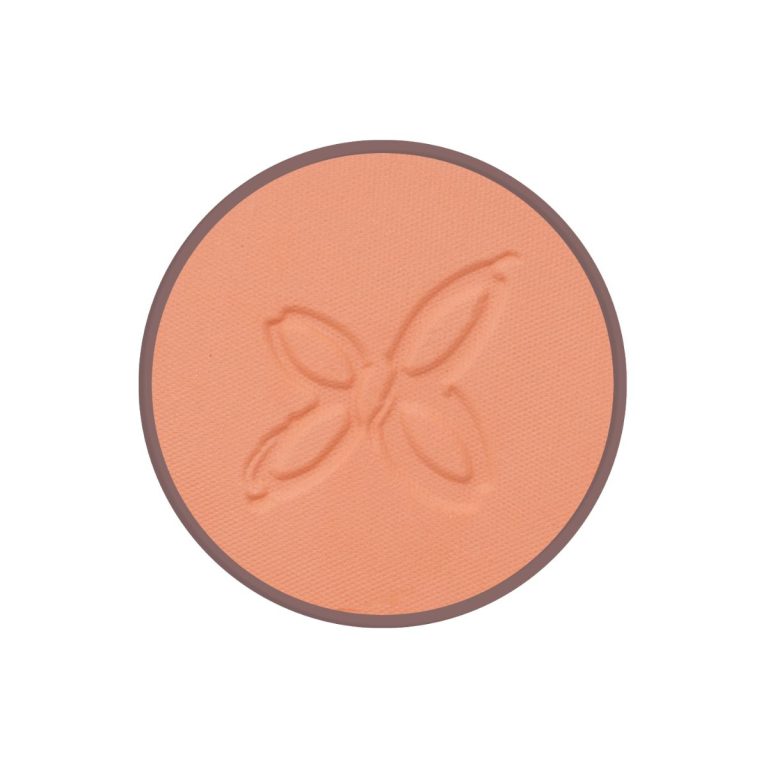 Colorete 01 Bois de Rose 4,5 g BIO VEGAN