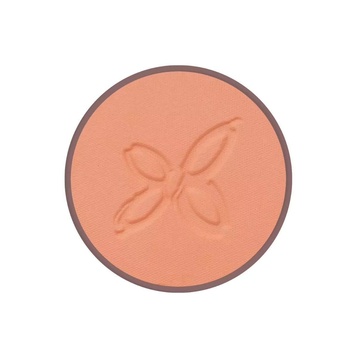 Colorete 01 Bois de Rose 4,5 g BIO VEGAN