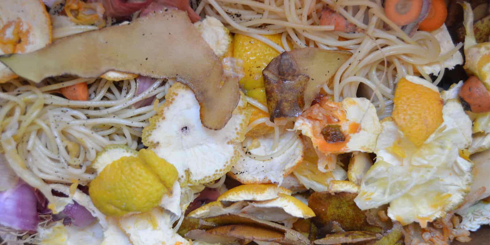 ¿Cómo reducir y reciclar de manera correcta los residuos? - Cero Residuo