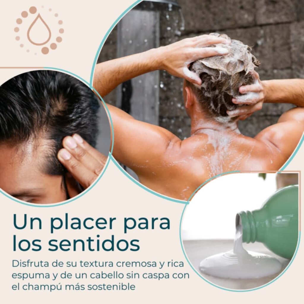 Contexto de Champú en Recambios