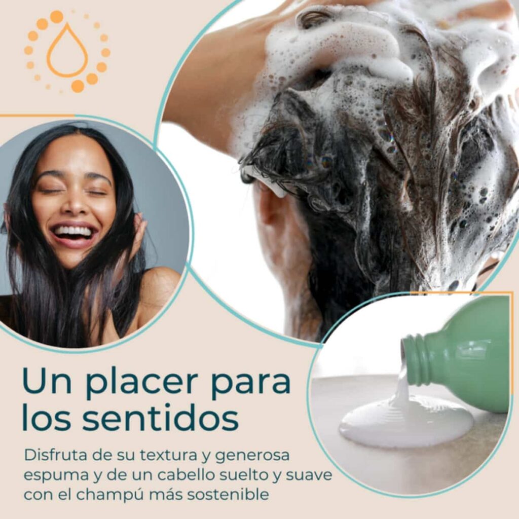Textura Champú Recargable Soluble