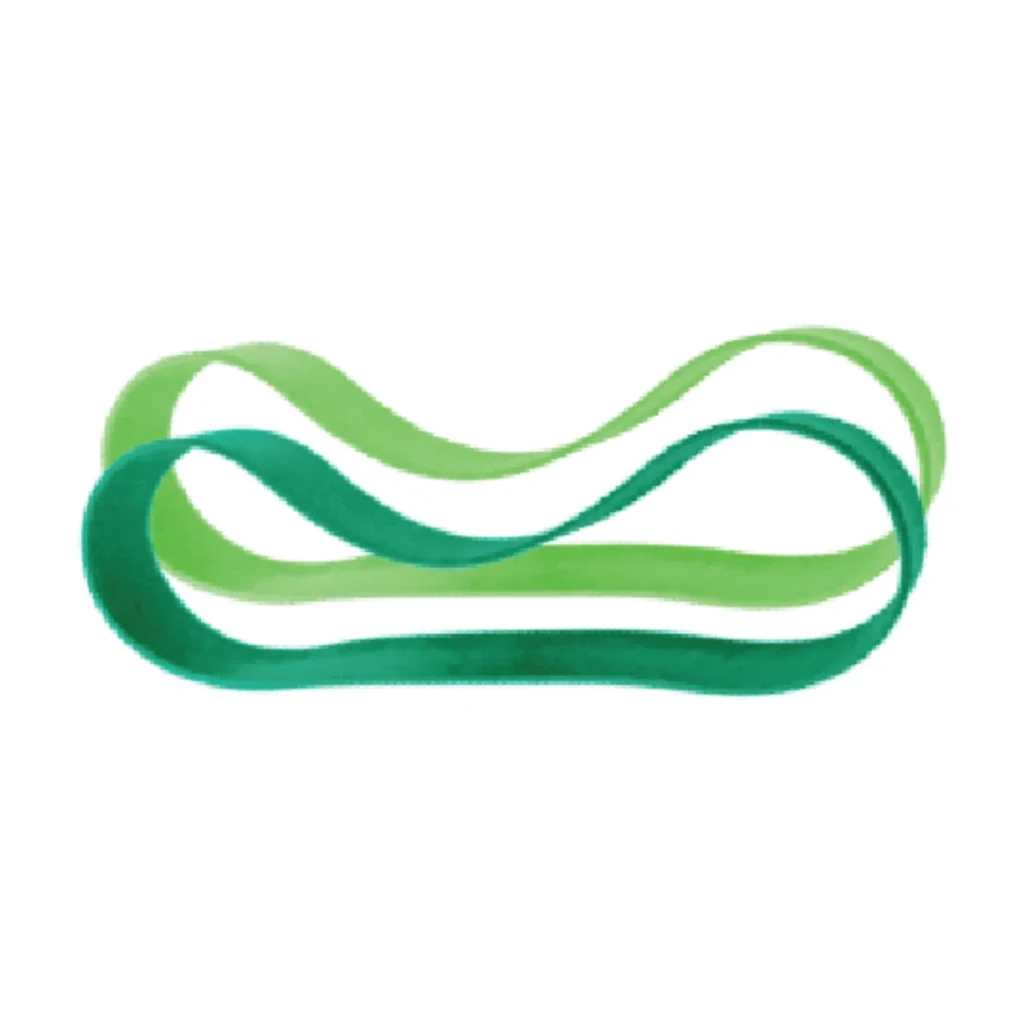 Gomas de silicona de recambio para fiambreras Pura, pack de 2 en tonos verdes