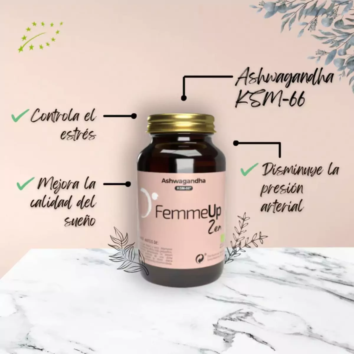FEMMEUP ZEN 60cap.