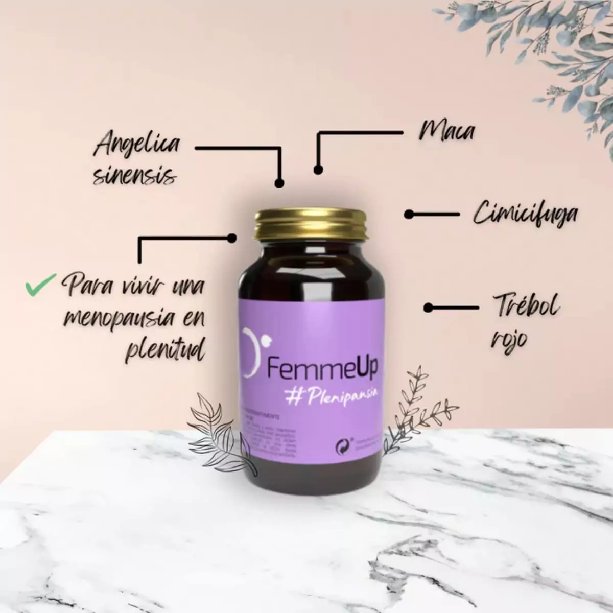 Femmeup Plenipausia 60cap