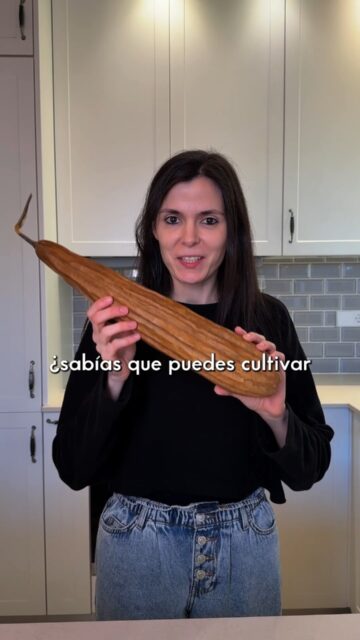 ¿Sabías que puedes cultivar la esponja con la que te duchas?Sí, como lo oyes. La luffa es un fruto de la familia de los calabacines que se planta, crece, se dejasecar y se cosecha cuando está reseca.Es mejor que una esponja convencional porque no se llena de bacterias ni suelta microplásticos cada vez que la utilizas.Si quieres cambiar tu esponja por una de luffa entra en 📲 ceroresiduo.com#ceroresiduo #zerowaste #esponjaluffa