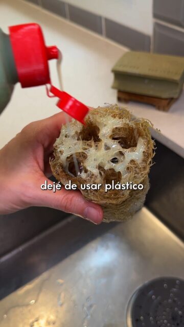 Hace 10 años dejé de usar plástico para lavar los platos ❌Esto es todo lo que uso- Lavavajillas sólido- Estropajo de luffa- Nana de cobreComenta "agua" y te mando una checklist con consejos para reducir tu consumo de agua.Si quieres eliminar el plástico de tu cocina, entra en 📲 ceroresiduo.com#ceroresiduo #zerowaste #lavavajillassolido #estropajodeluffa #nanadecobre