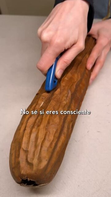 No sé si eres consciente de esto, pero la primera esponja que utilizaste sigue en el fondo del mar. Por eso me pasé a la esponja de luffa, que es más barata, no genera residuos y elimina células muertas. Si quieres probarla, comenta 📲 LUFFA y te mando el enlace directo al producto.
#ceroresiduo #zerowaste #esponja #luffa