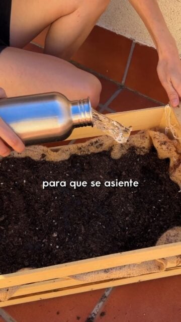¿Sabías que con un diente de ajo puedes conseguir una cabeza entera? Te enseño cómo hago mi propio huerto con poco espacio y sin comprar casi nada 🪴
Si quieres ver cómo avanza, 📲 ¡síguenos!
#ceroresiduo #zerowaste #reutilizar #huerto #ajo