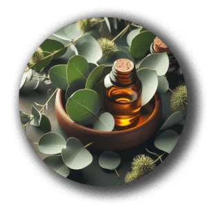 Aceite de eucalipto