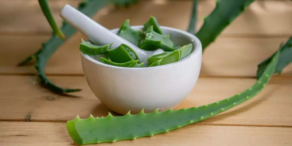 Aloe Vera para suavizante para el pelo