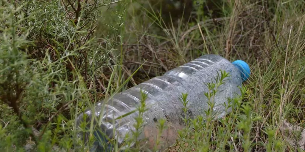 Botella de plástico dejada en la naturaleza