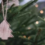 Cómo elegir tu árbol de navidad