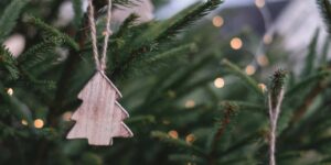 Cómo elegir tu árbol de navidad