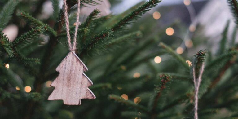 Cómo elegir tu árbol de navidad