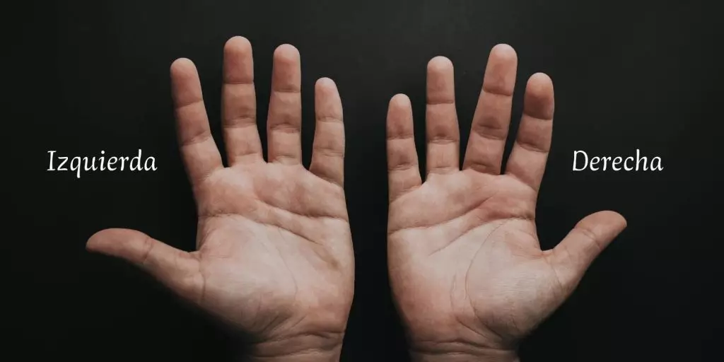 Diferencia de olor por mano dominante