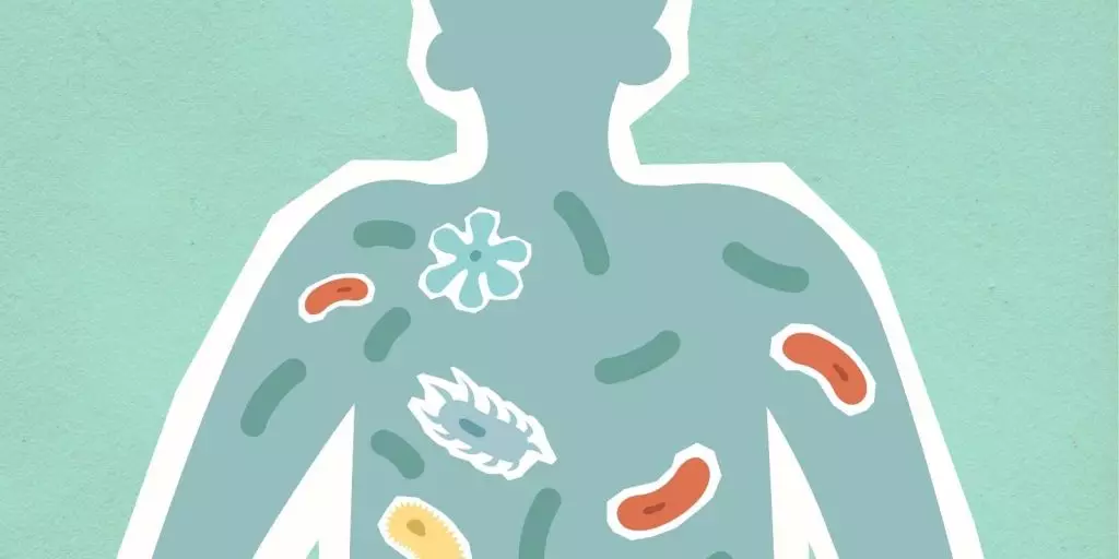Diferentes bacterias en axilas