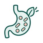 Enzimas Digestivas y Probióticos