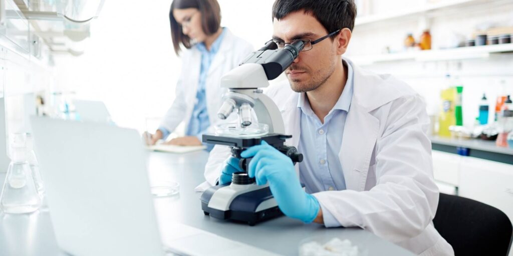 estudios cientificos octinoxato