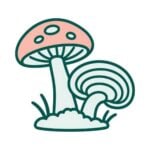 Hongos y Setas Medicinales
