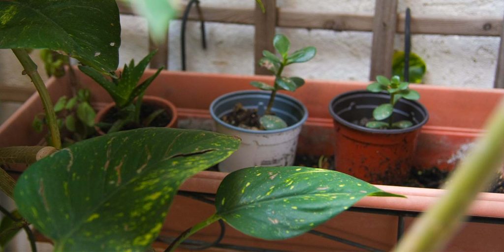 Jardin Zero Waste