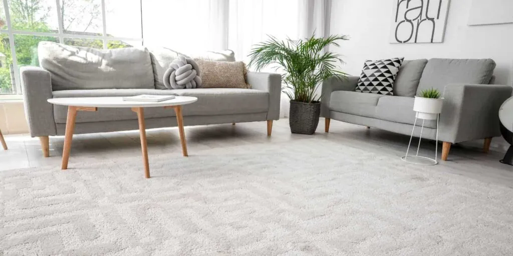 Limpiar Alfombra Grande